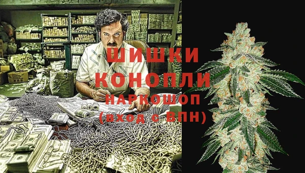 прущие грибы Волосово