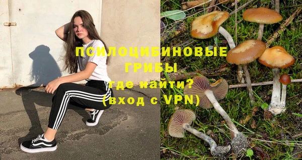 герыч Володарск