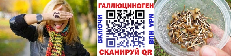 Галлюциногенные грибы GOLDEN TEACHER Назарово